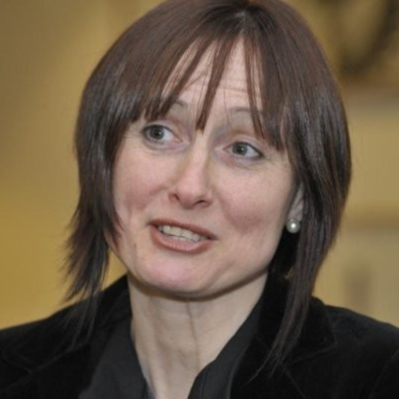 Liz Varga CBE FCABE FAcSS FHEA