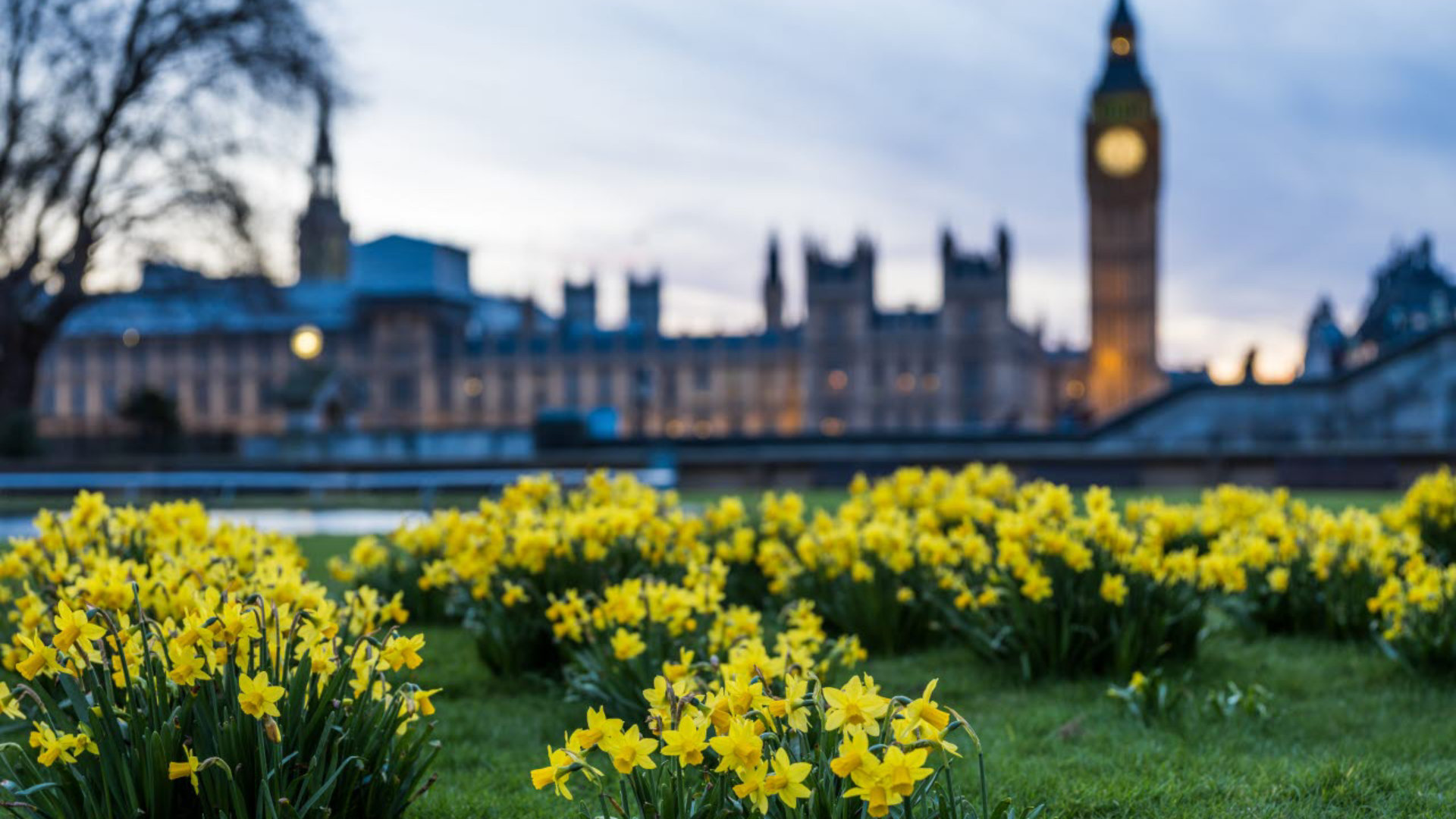 parliament