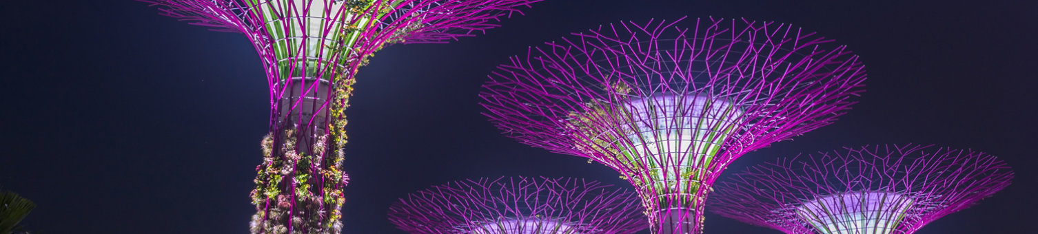 Supertree garden at night, garden by the bay.