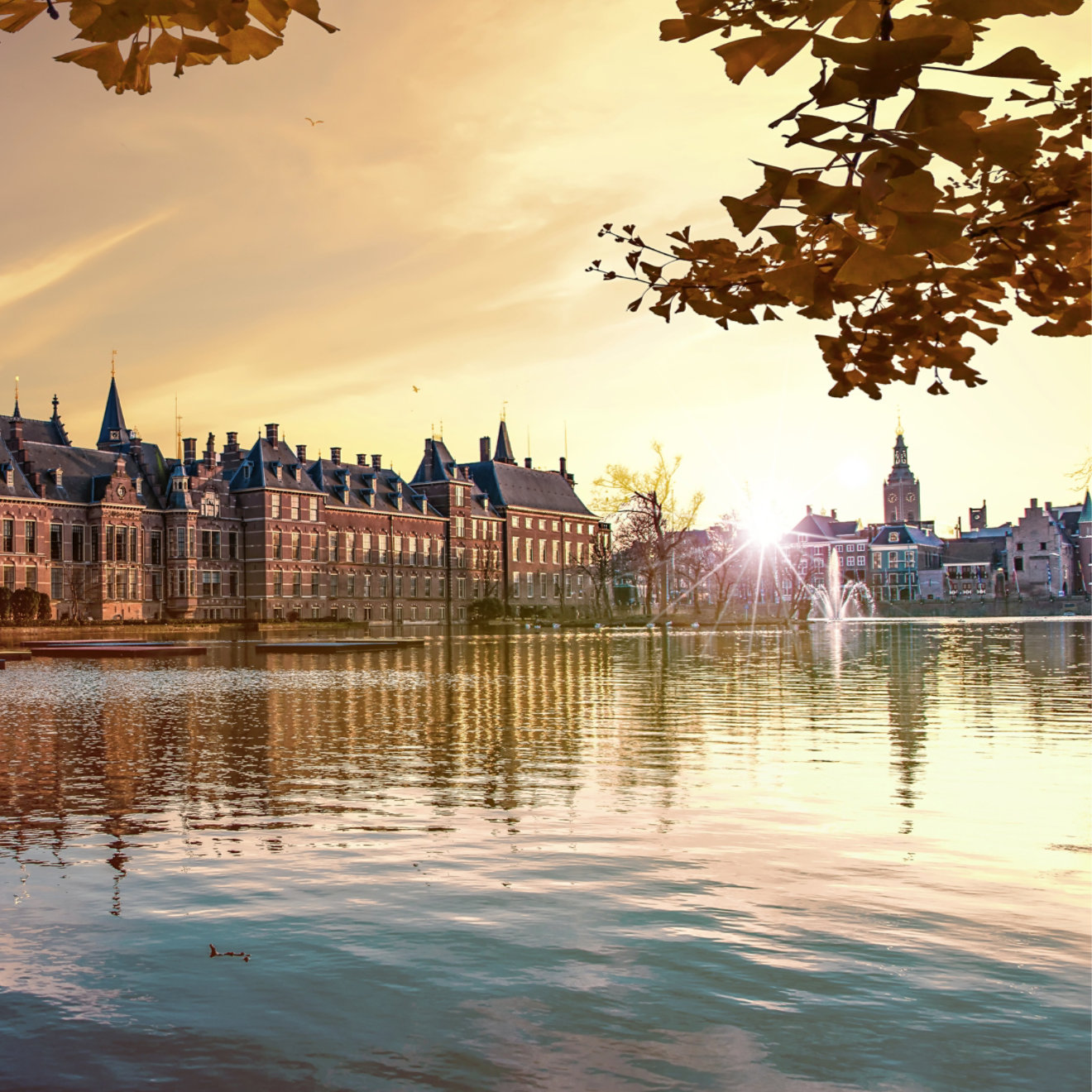 Sunset on the Binnenhof building and The Hague city reflected on the pond with a swan swimming on, Netherlands