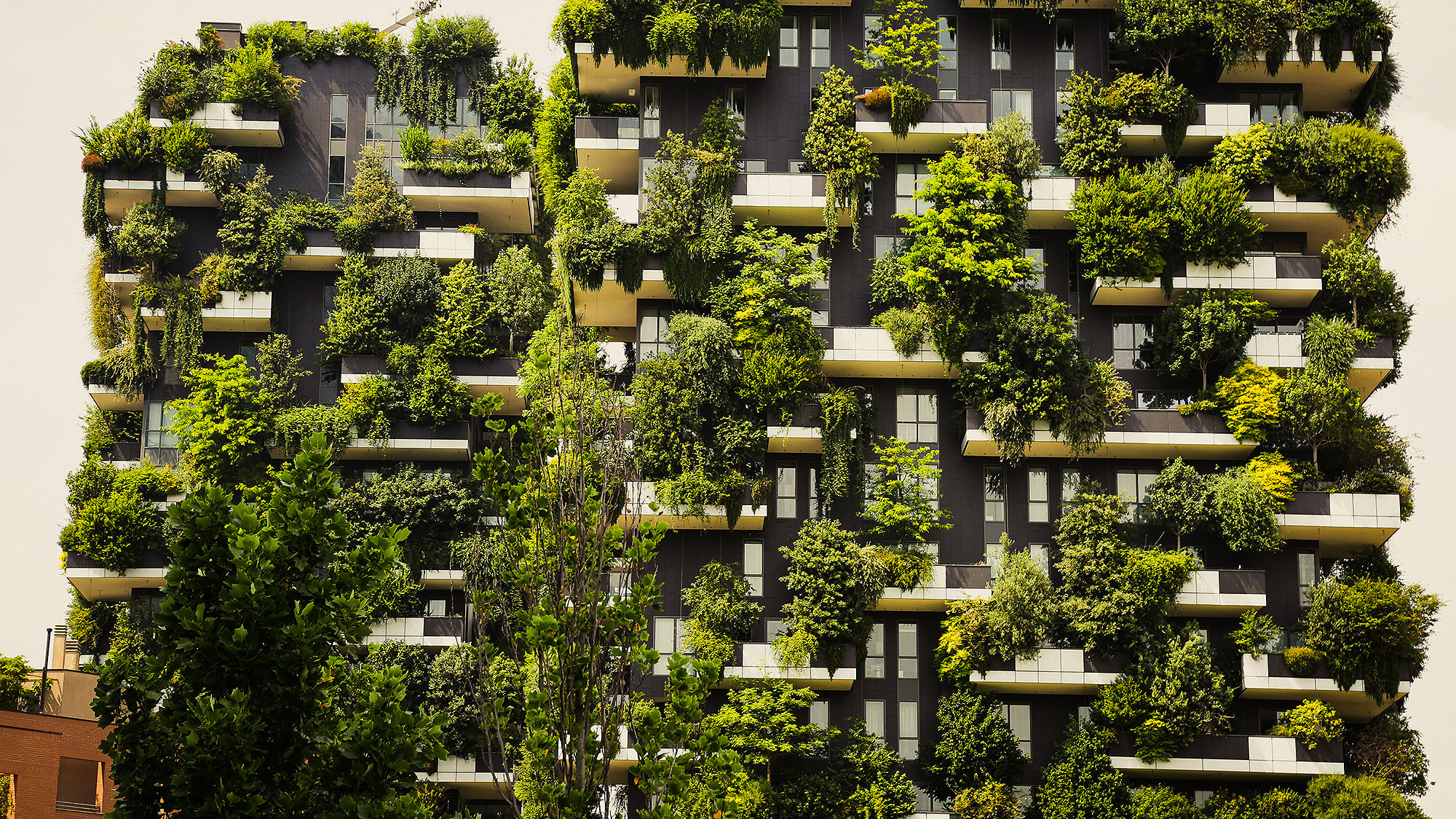 Colour photograph of a green building in Milan, Italy