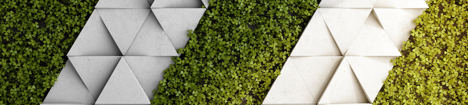 Modern interior vertical green garden