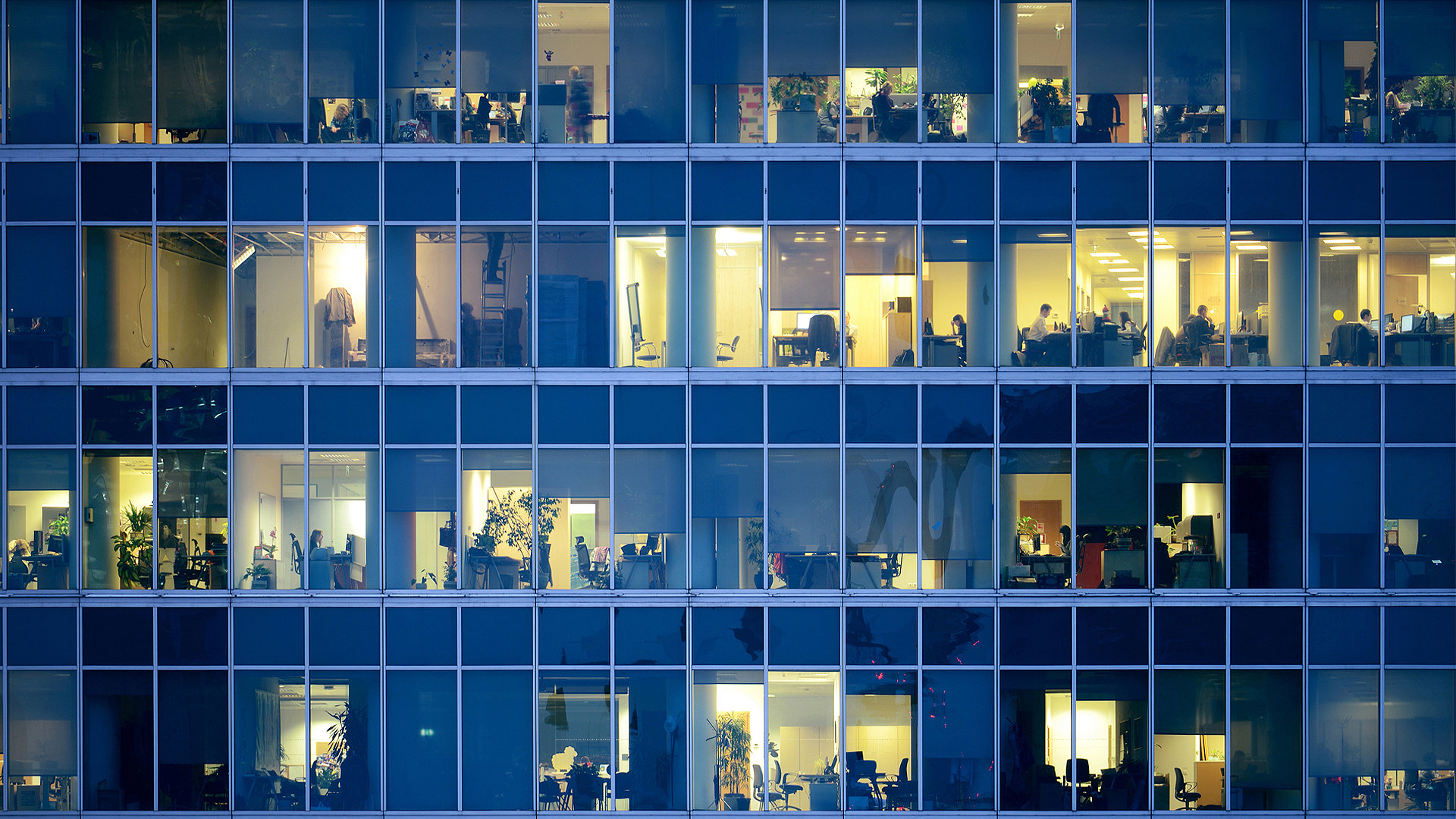 Rows of windows of office building lit up looking in at people working