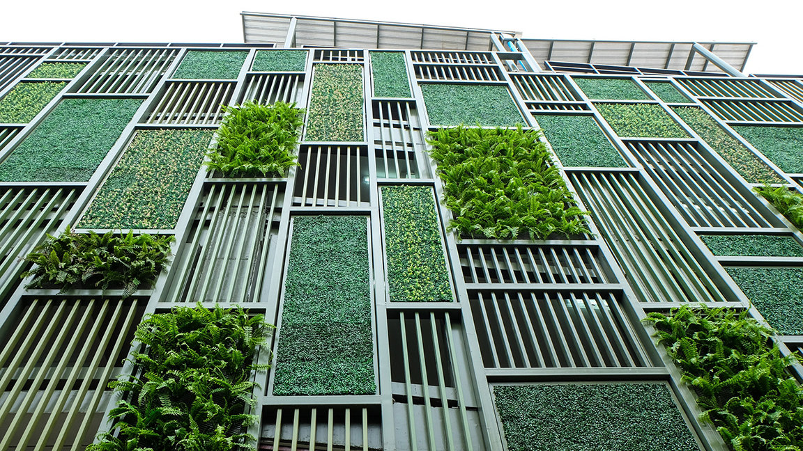 Photo of a living green wall