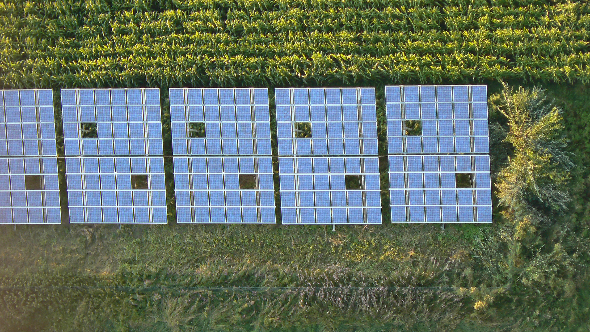 Can solar and battery storage work for the rural sector?
