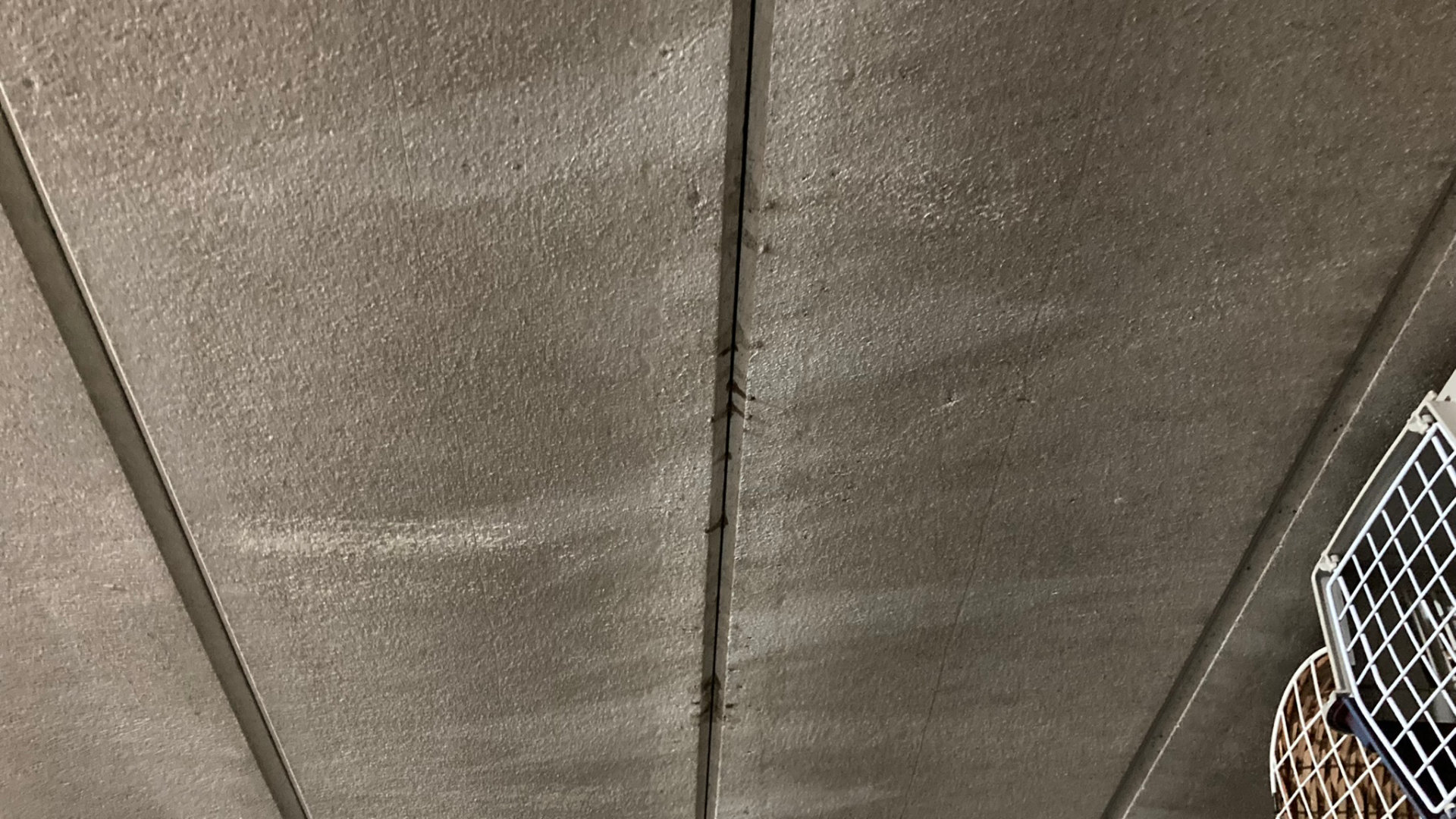 A photograph of four RAAC panels forming part of a ceiling in a domestic garage