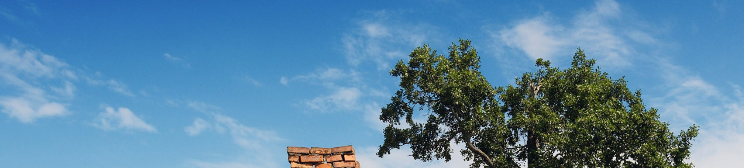 Sheet metal roof with moss