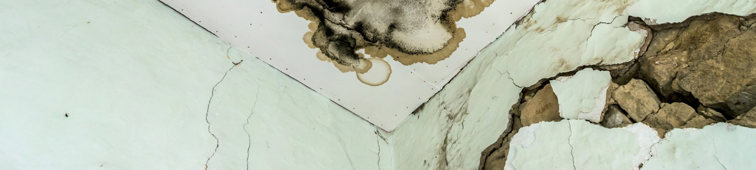 Damo and mould on a ceiling