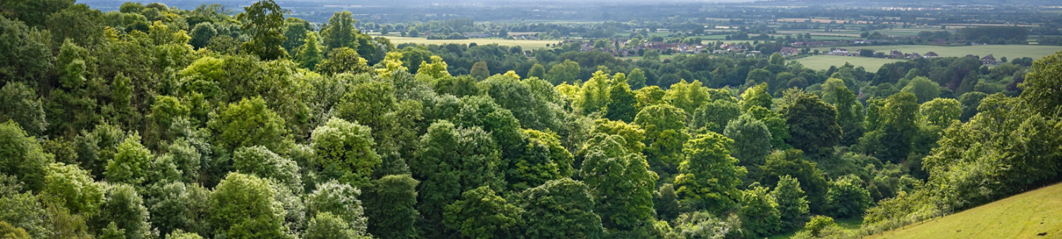 UK countryside landscape. Green rolling hills with trees and meadow. View from Chiltern Hills toward Aylesbury Vale. Buckinghamshire, UK