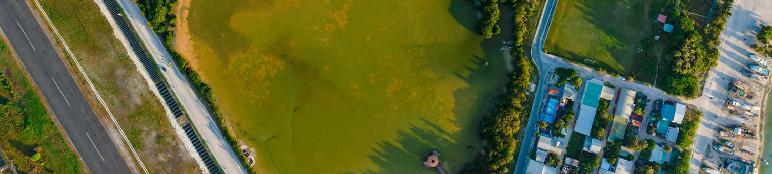 Overhead shot of a park