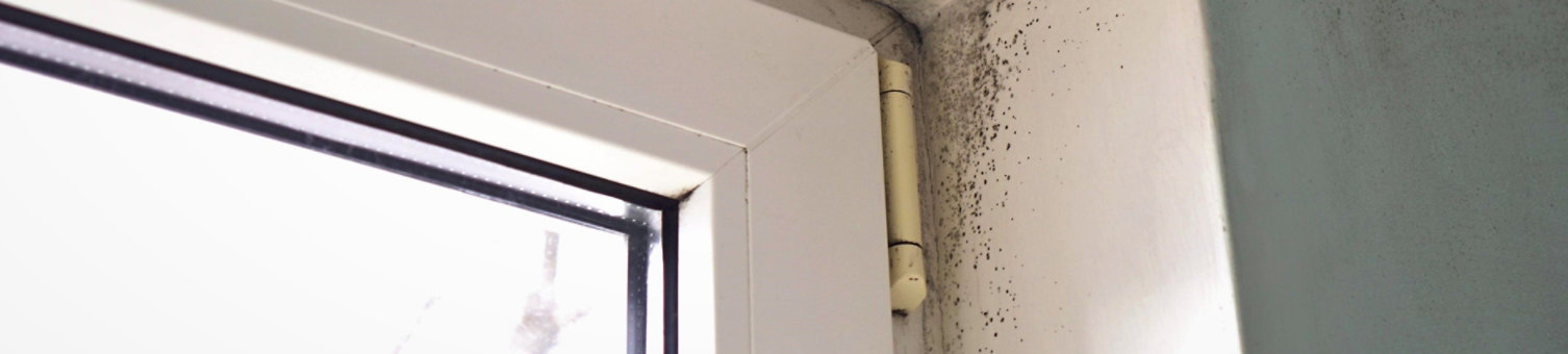 Growth of black mold on the walls inside an apartment building. Moisture indoors and the appearance of mold