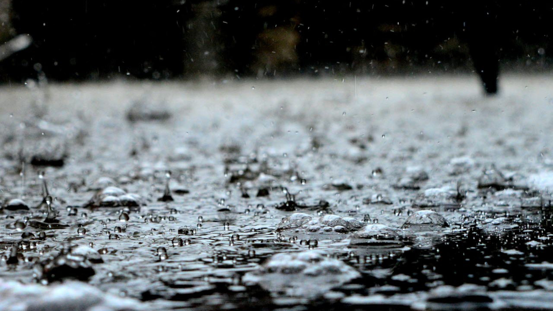 Rainfall on street