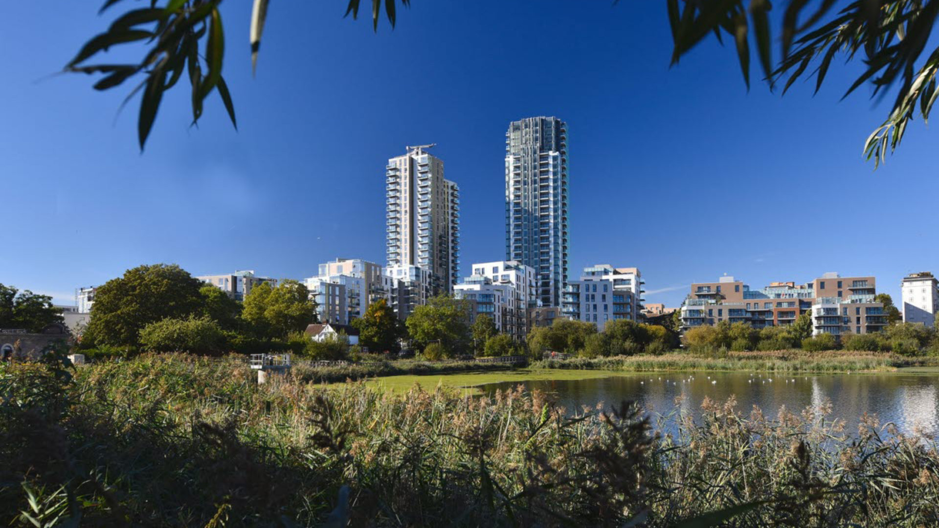 Regeneration-WoodberryDown-140518-mb