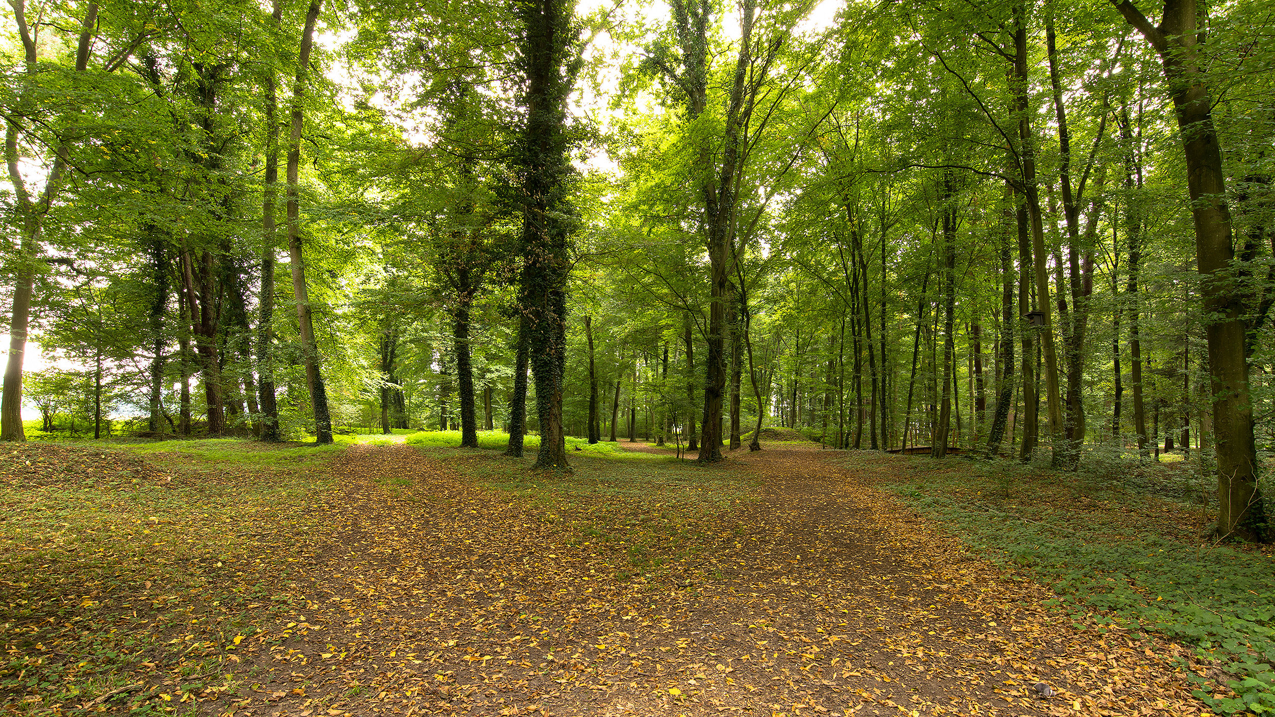 What are the legal issues around natural burial?