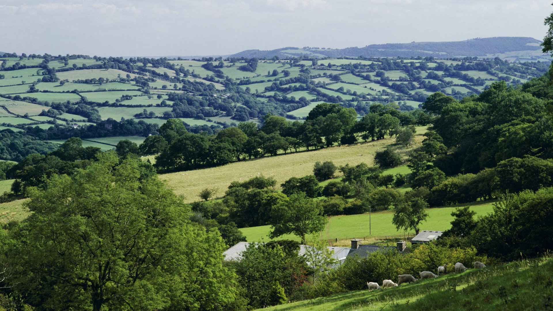 uk landscape