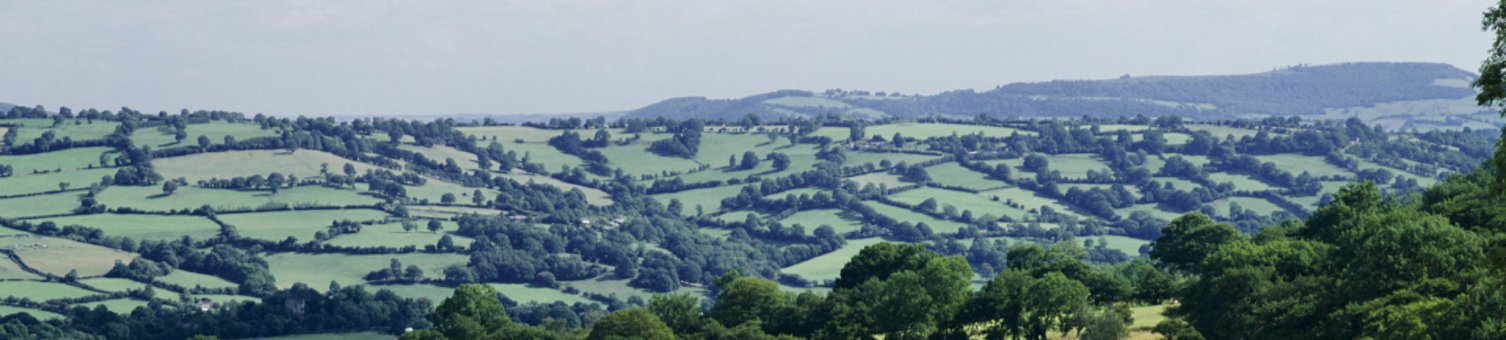 Rural landscape