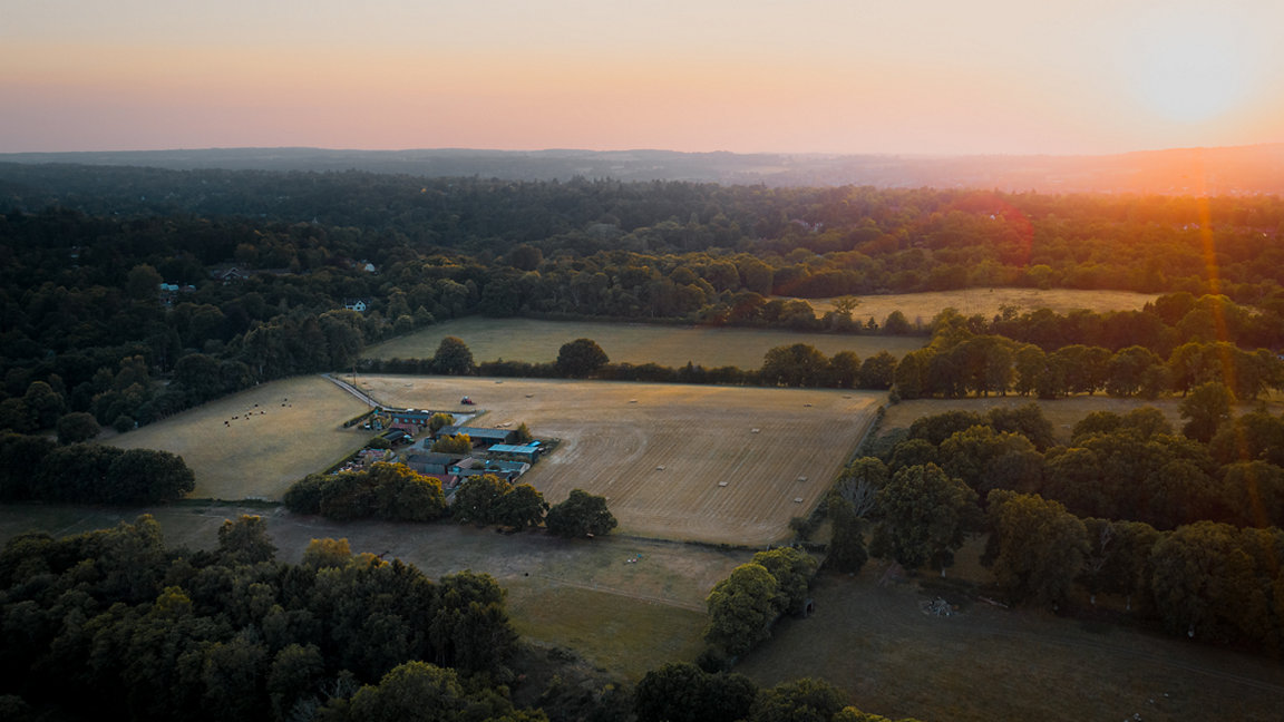 Farmland and house surrounded by woodland in Surrey
