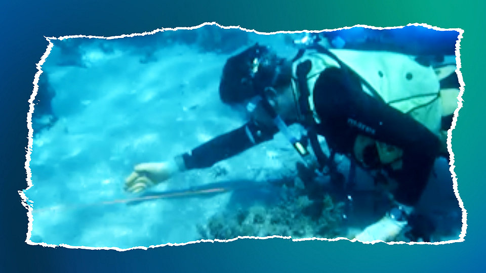 Simon Spooner MRICS: how to survey a shipwreck