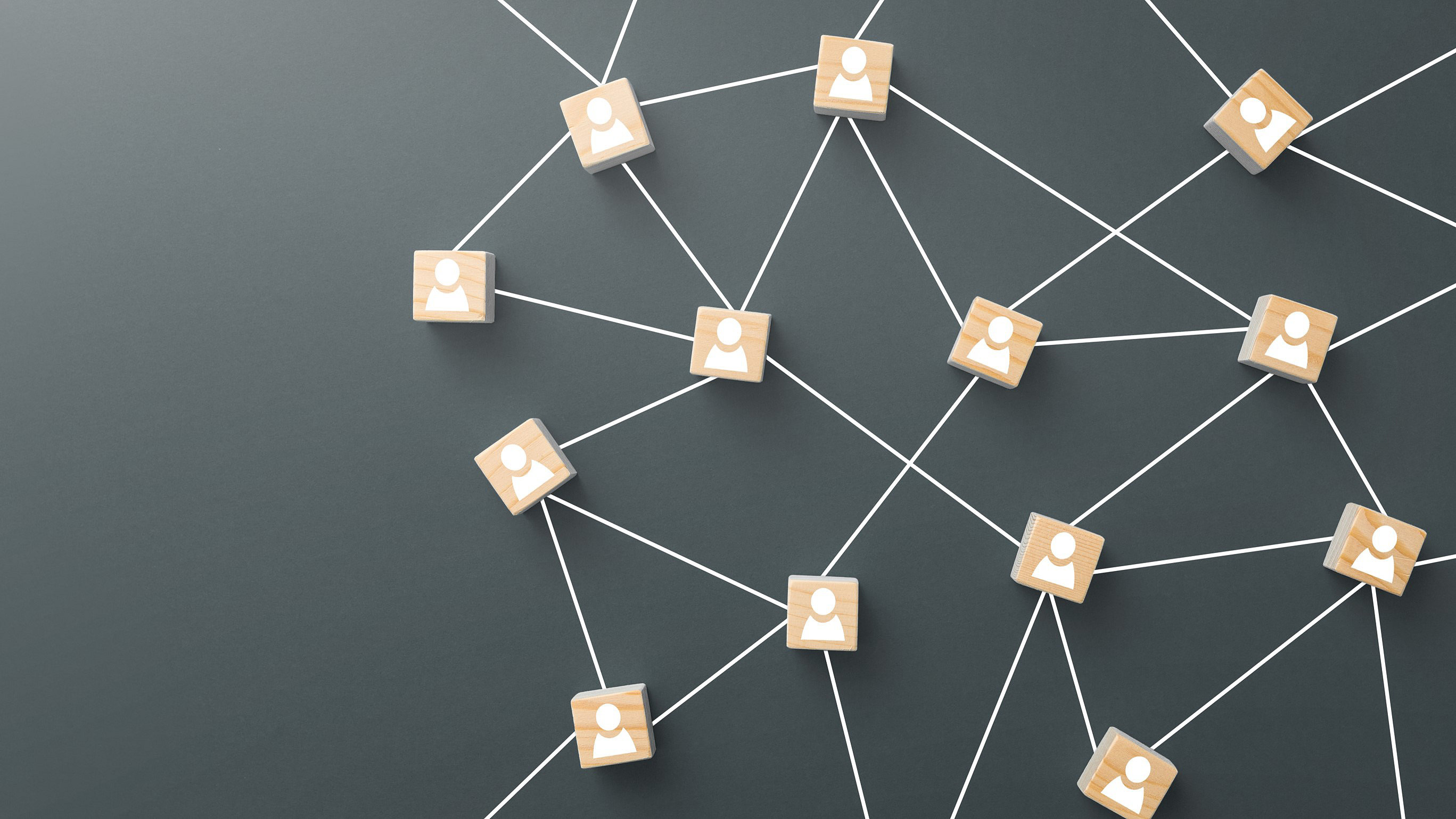 Wooden blocks with white icons linked with white lines on a grey background