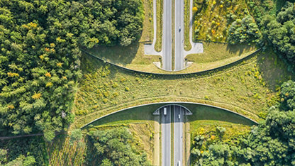Aerial top down view of ecoduct or wildlife crossing - vegetation covered bridge over a motorway that allows wildlife to safely cross over; Shutterstock ID 1821548093; purchase_order: -; job: -; client: -; other: -