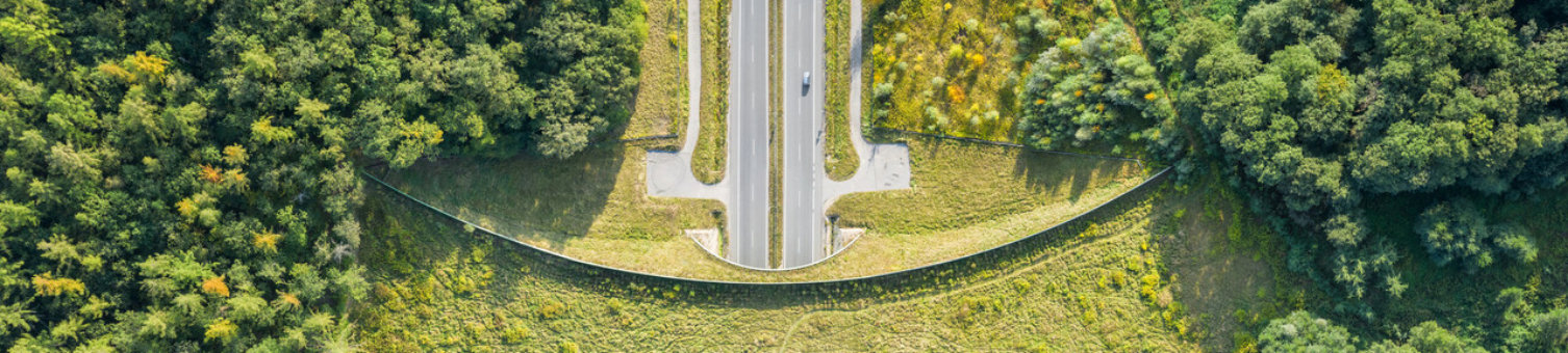 Aerial top down view of ecoduct or wildlife crossing - vegetation covered bridge over a motorway that allows wildlife to safely cross over; Shutterstock ID 1821548093; purchase_order: -; job: -; client: -; other: -