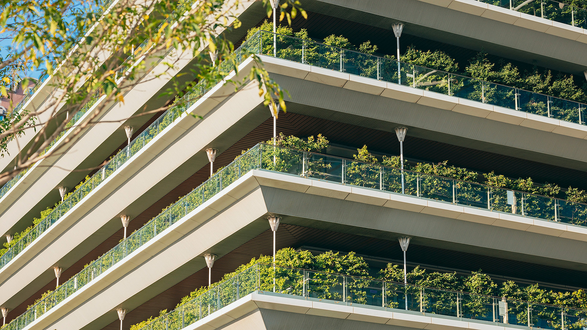 Photograph of a building façade with green wall