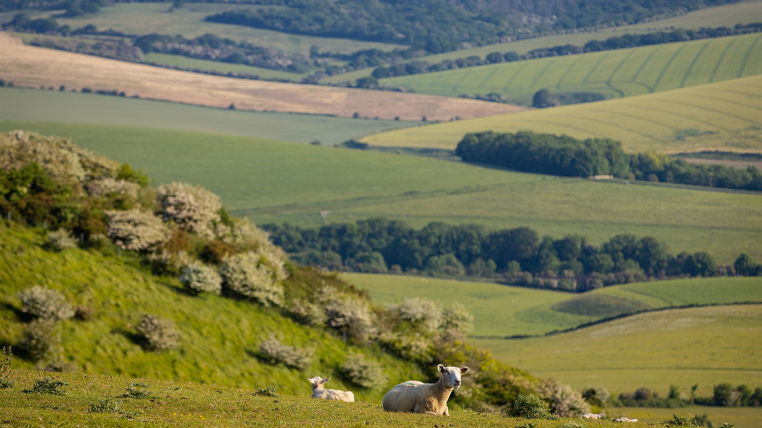 Landscape of Iford Estate. Photographer: James Ratchford