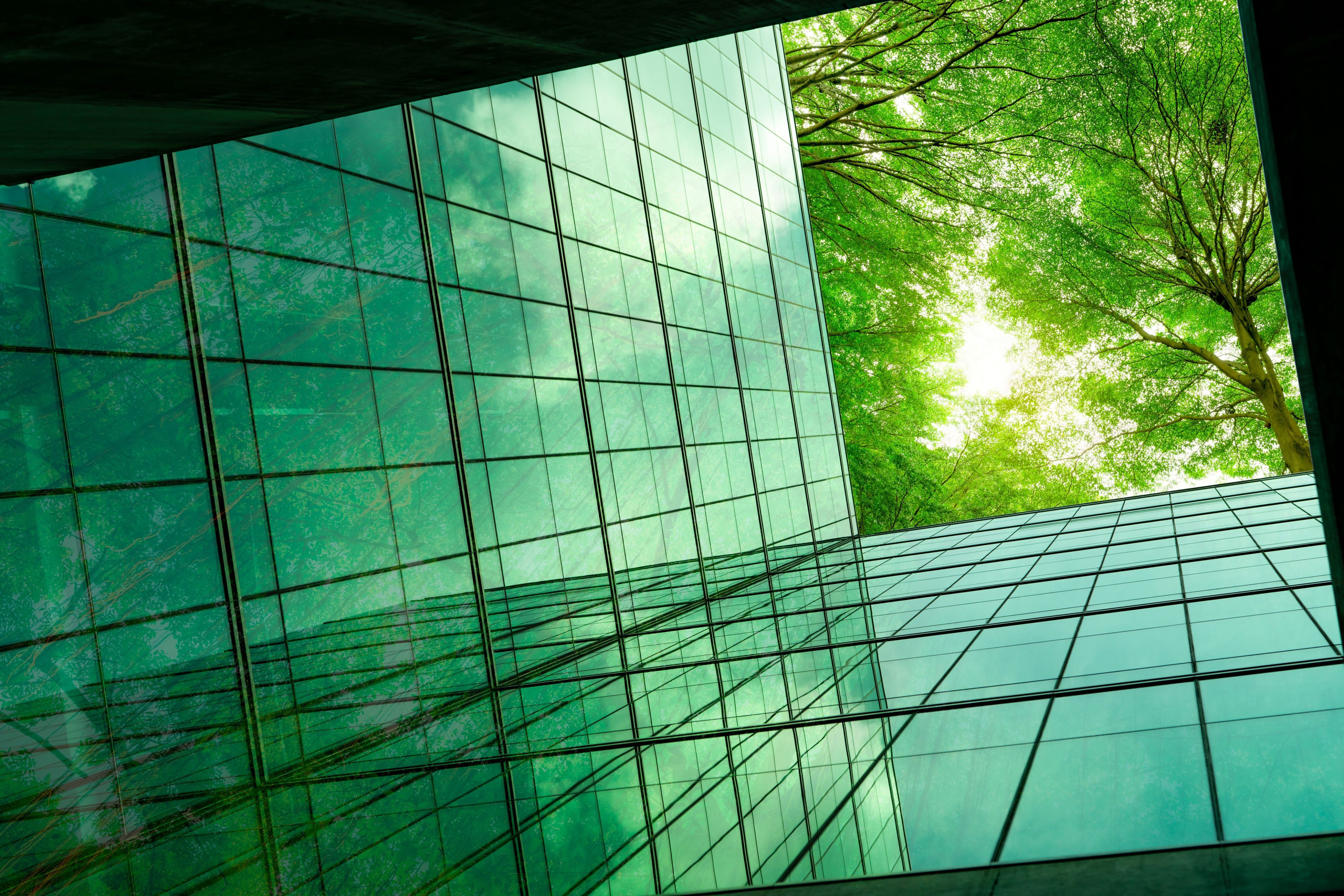 An Introduction to Sustainability in the Built Environment