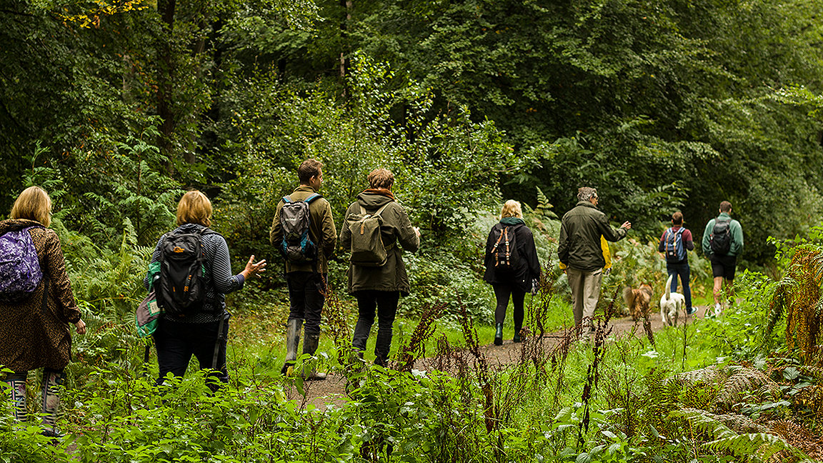 Group of people walking behind each other through woodland
