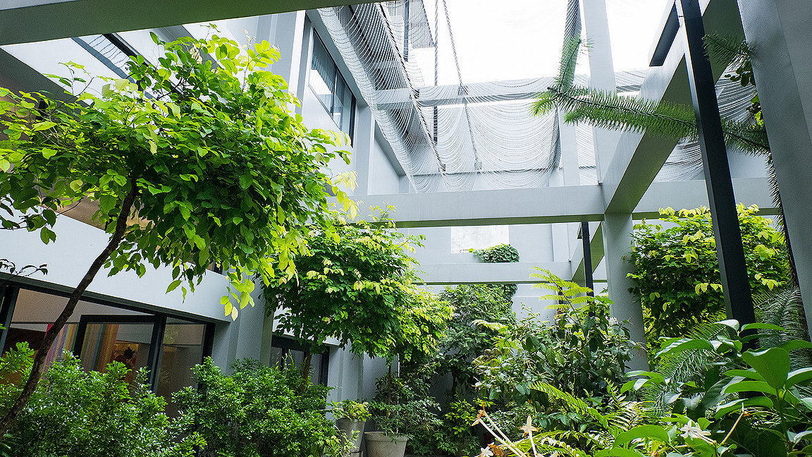 Photo of a garden in a modern hotel