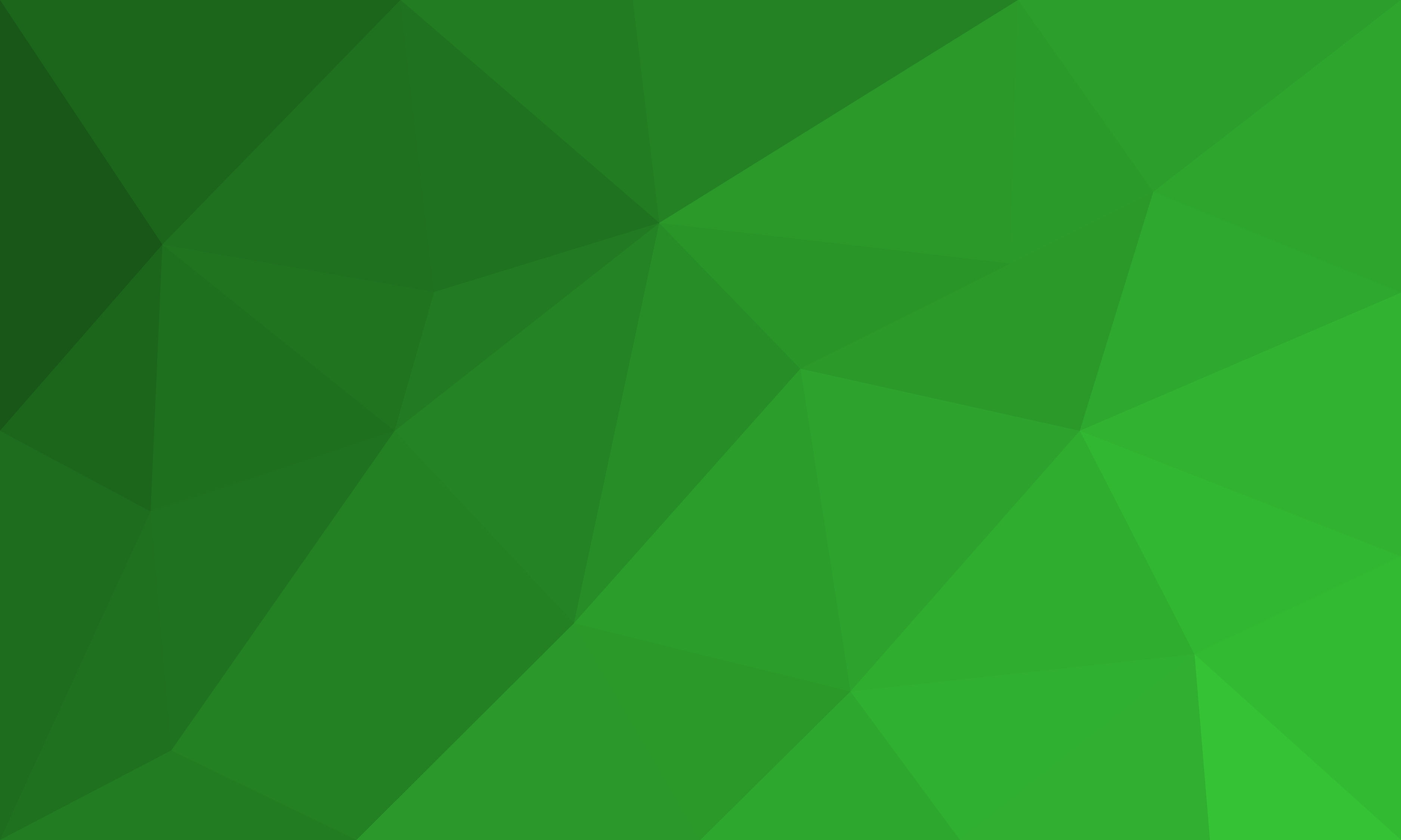 Discovering Green IT: An Introduction to Tech Sustainability