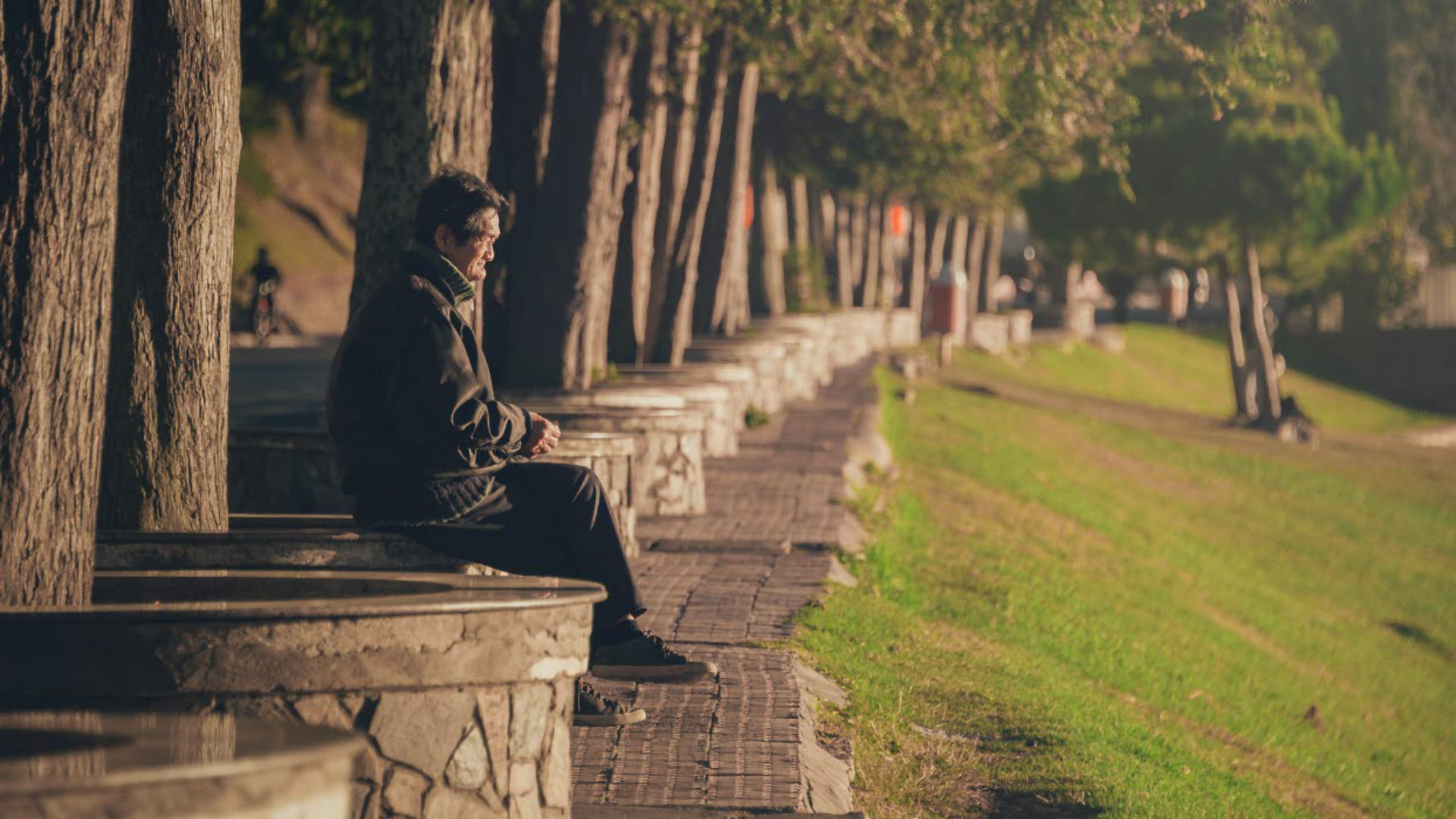 alone-daylight-elderly-893154
