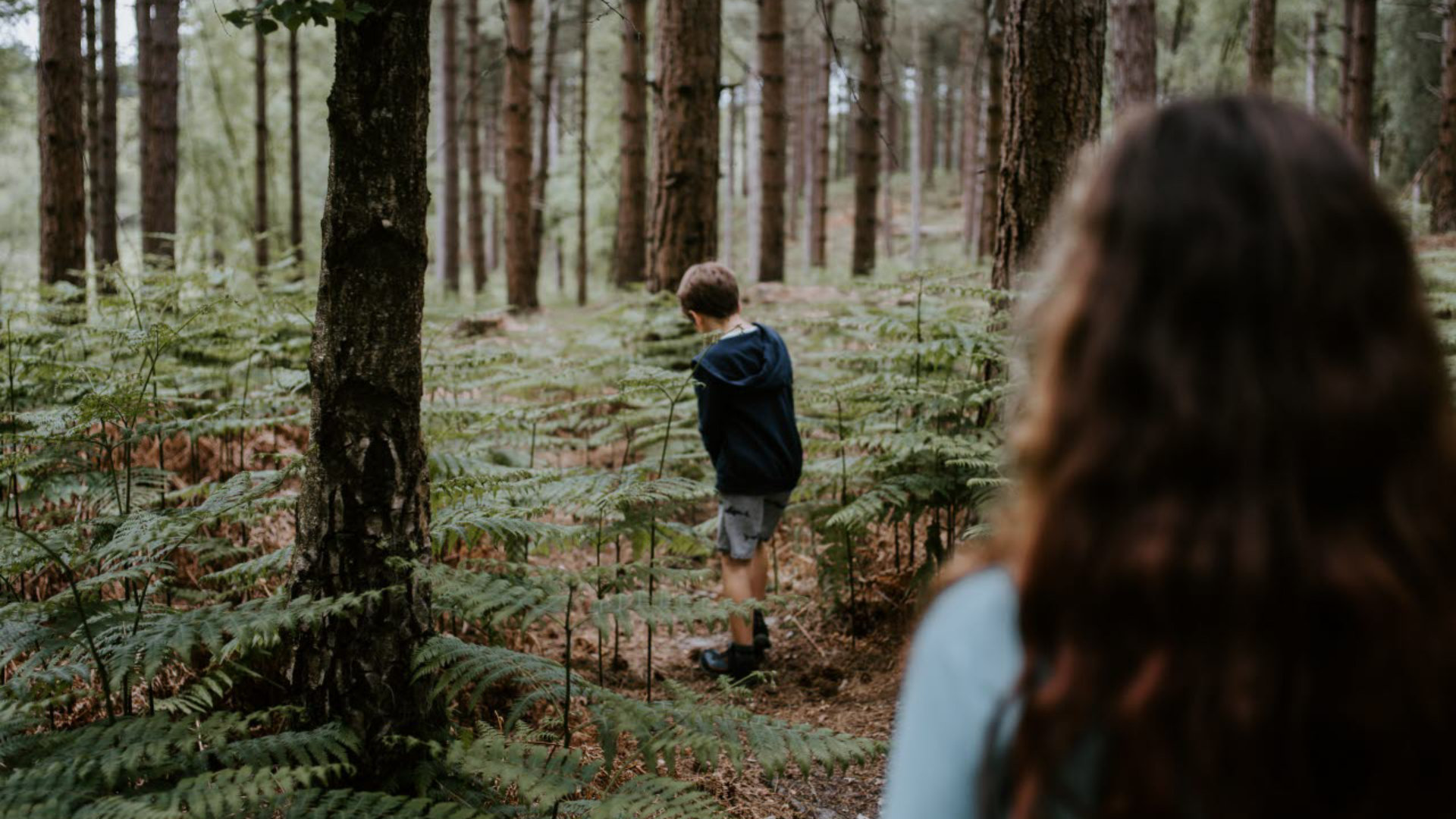 annie-spratt-DdjlUXj2CP0-unsplash