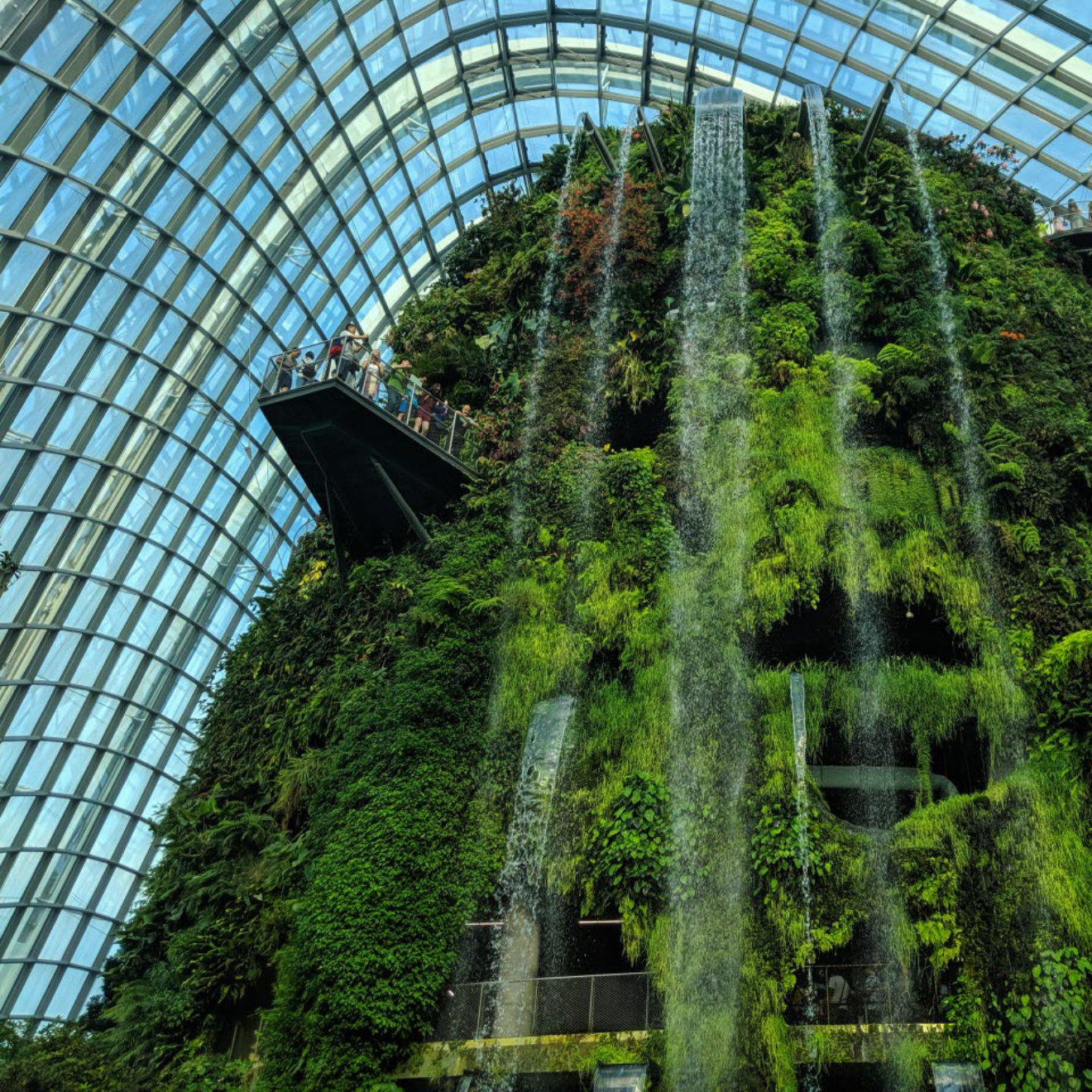 architecture-building-cloud-forest