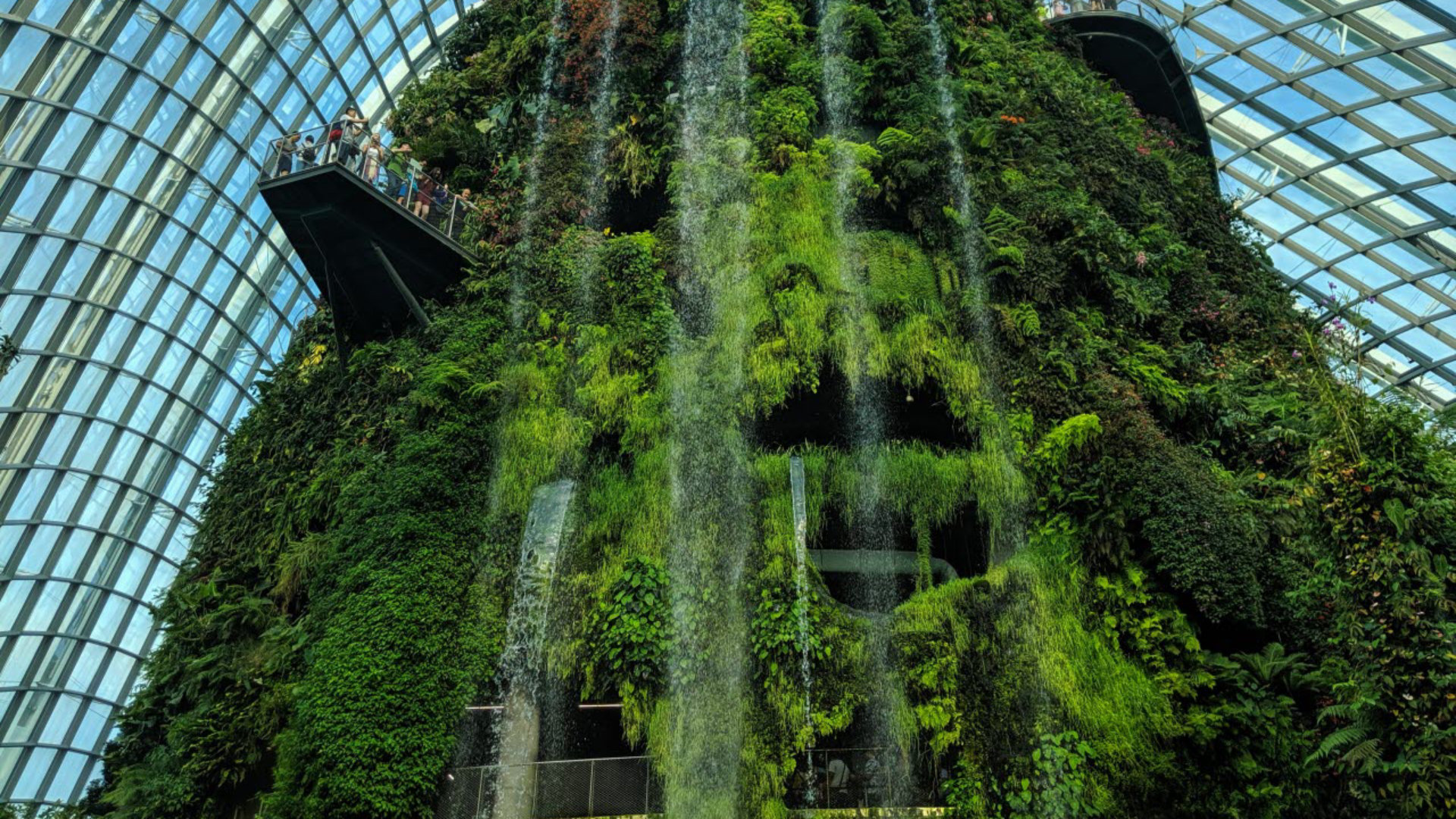 architecture-building-cloud-forest