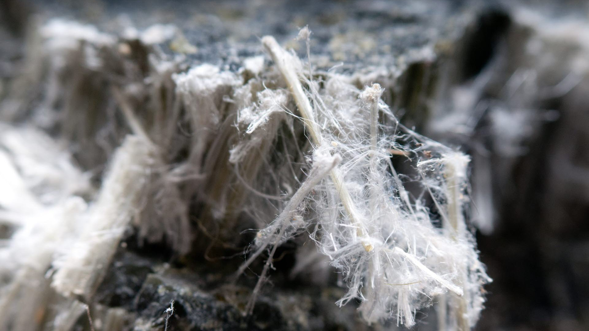 asbestos-closeup