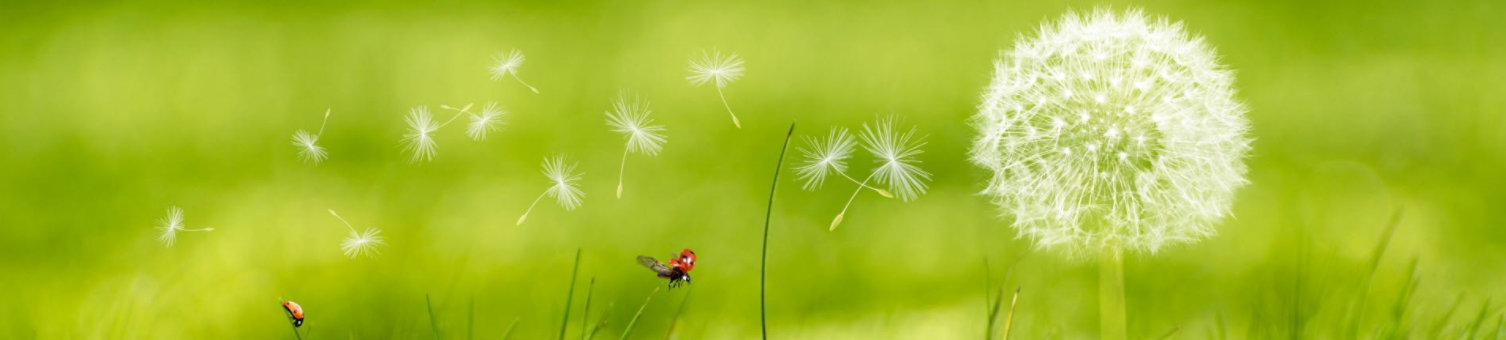 background image beautiful blur