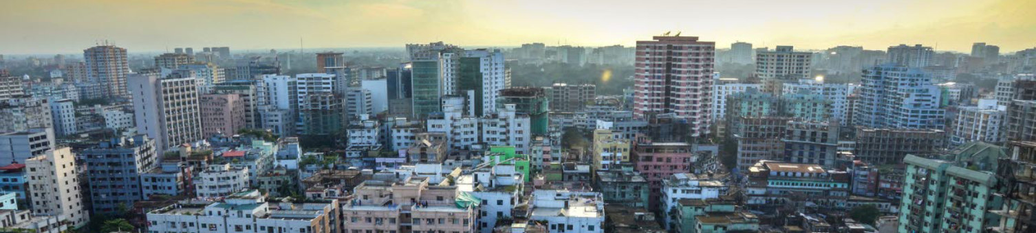 banani-2978376_1920.jpg