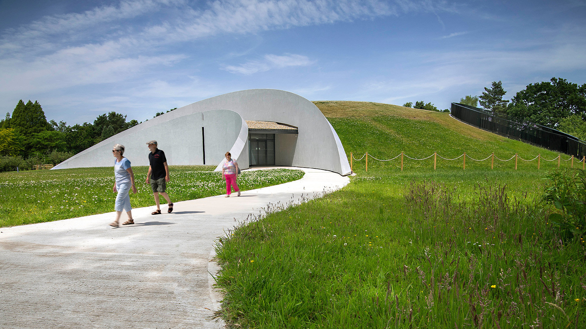 Why green roofs are crucial for biodiversity net gain