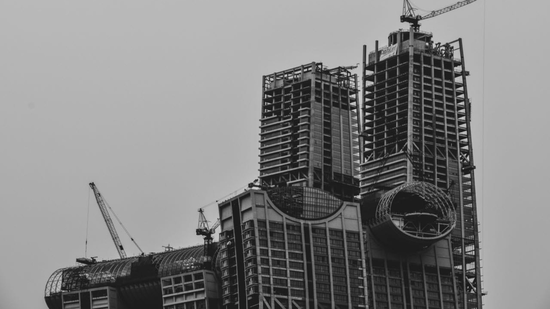 Black and white building site RICS
