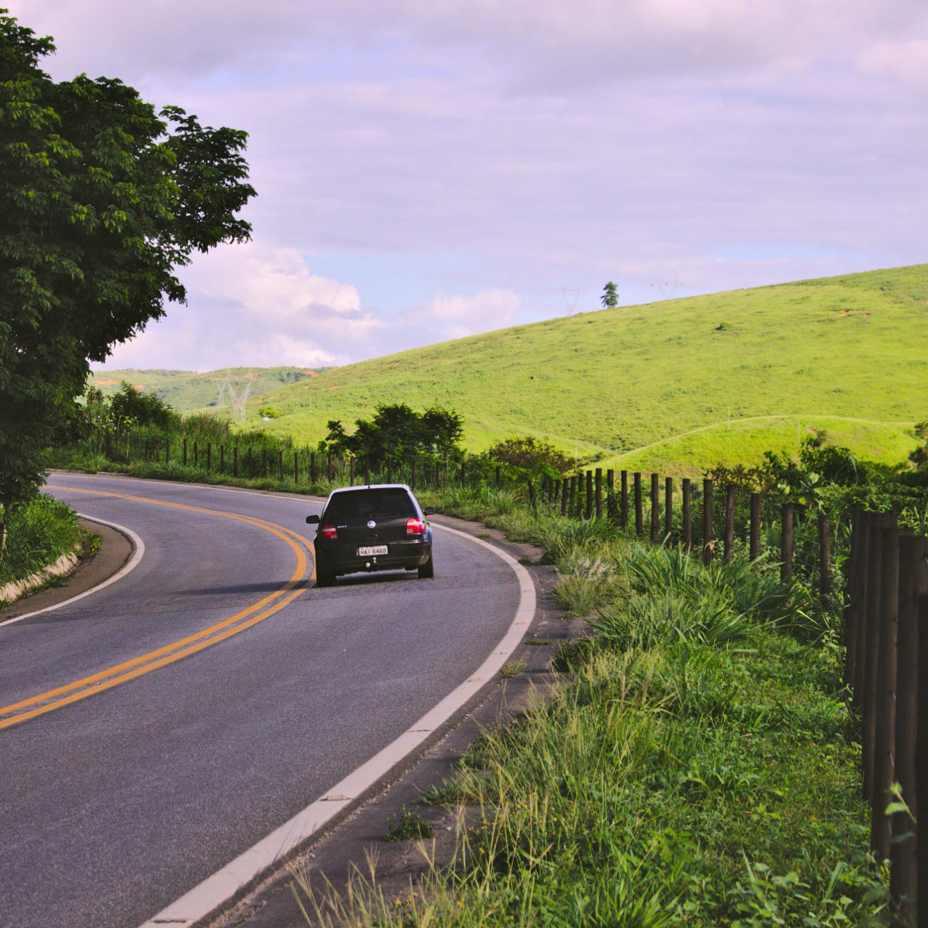 black-vehicle-on-road-near-green-leaf-plants