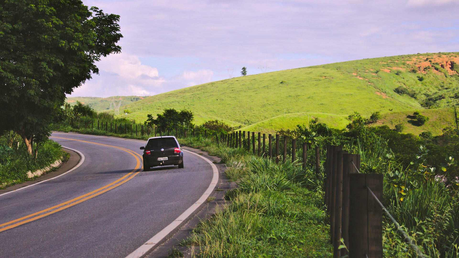 black-vehicle-on-road-near-green-leaf-plants