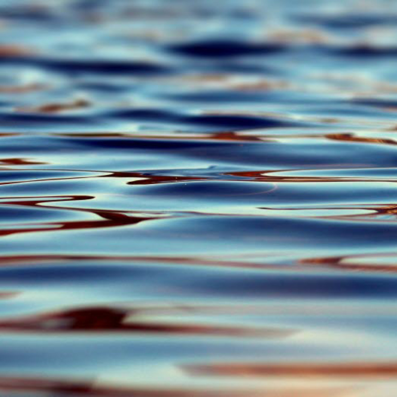 blur-close-up-ripple-355700.jpg