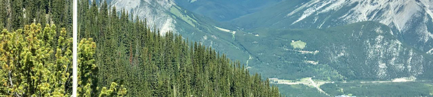 canada-flag-with-mountain-range-view