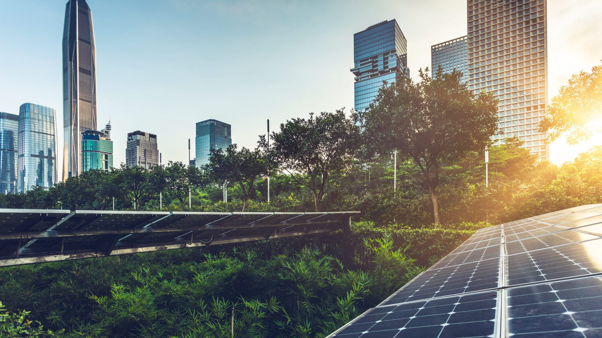 Solar panels with a city backdrop