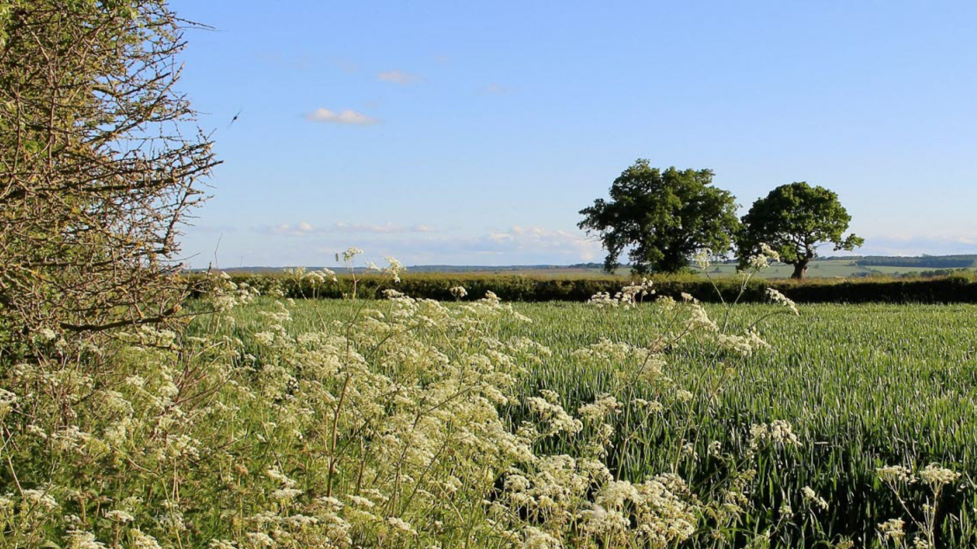 countryside-rural-landscape-uk-pxhere.jpg