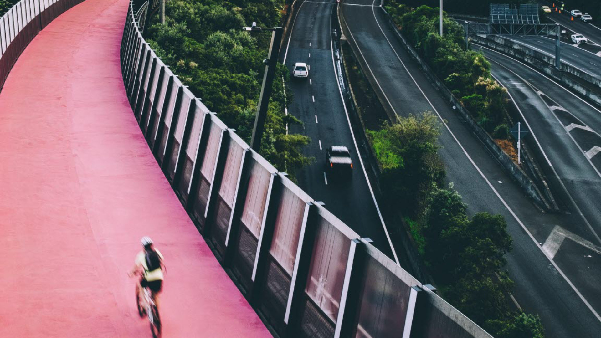 dan-freeman-401298-unsplash