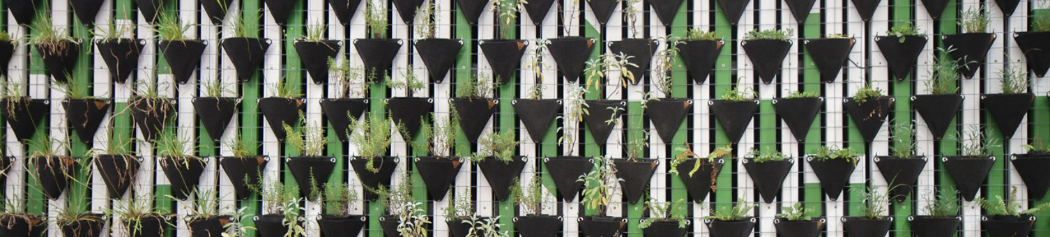 A green and white wall with black plant holders attached