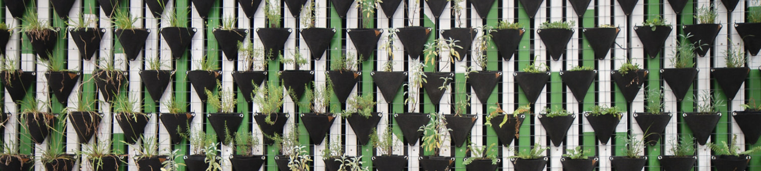 A green and white wall with black plant holders attached