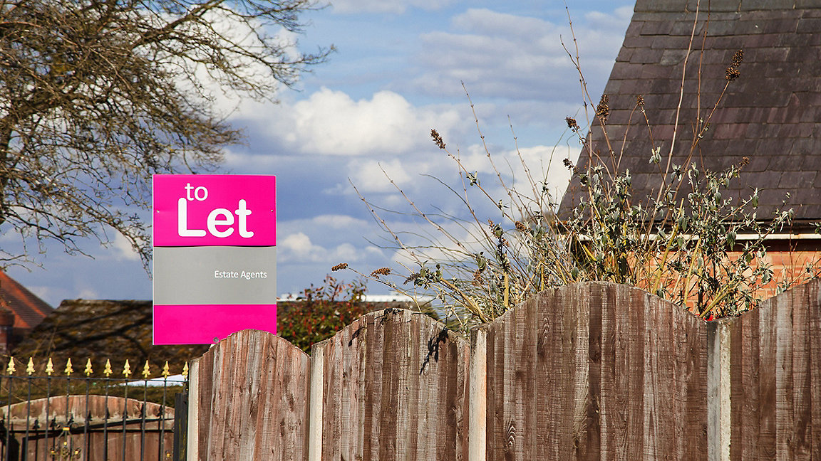 Residential garden with a brightly coloured for let sign